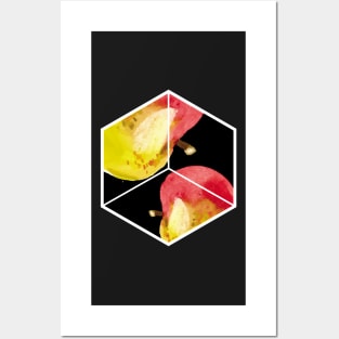 Thanksgiving Apple Fruit Hexagon Abstract Wall Art Posters and Art